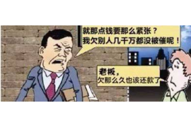 兴县企业清欠服务